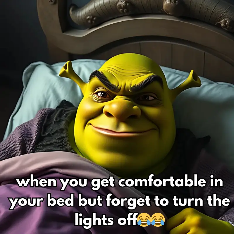 when you get comfortable in your bed but forget to turn the lights off.