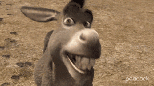 Shrek Film Donkey Smile GIF