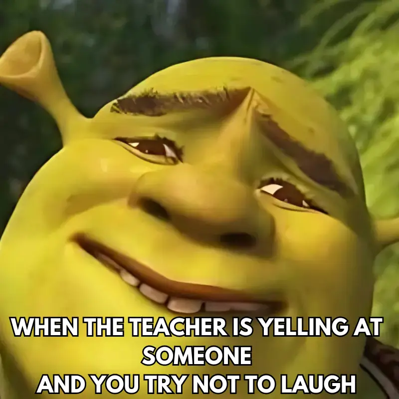 Shrek Funny Meme No. 17
