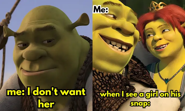 Shrek Funny Meme No. 25
