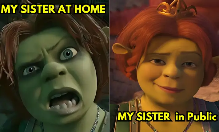 Shrek Funny Meme No. 27