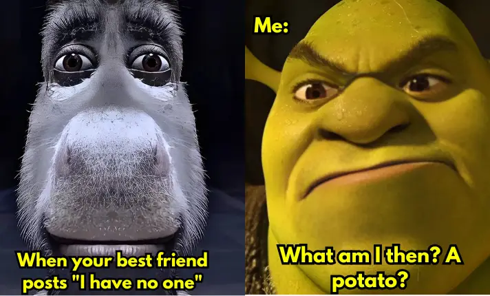 Shrek Funny Meme No. 29