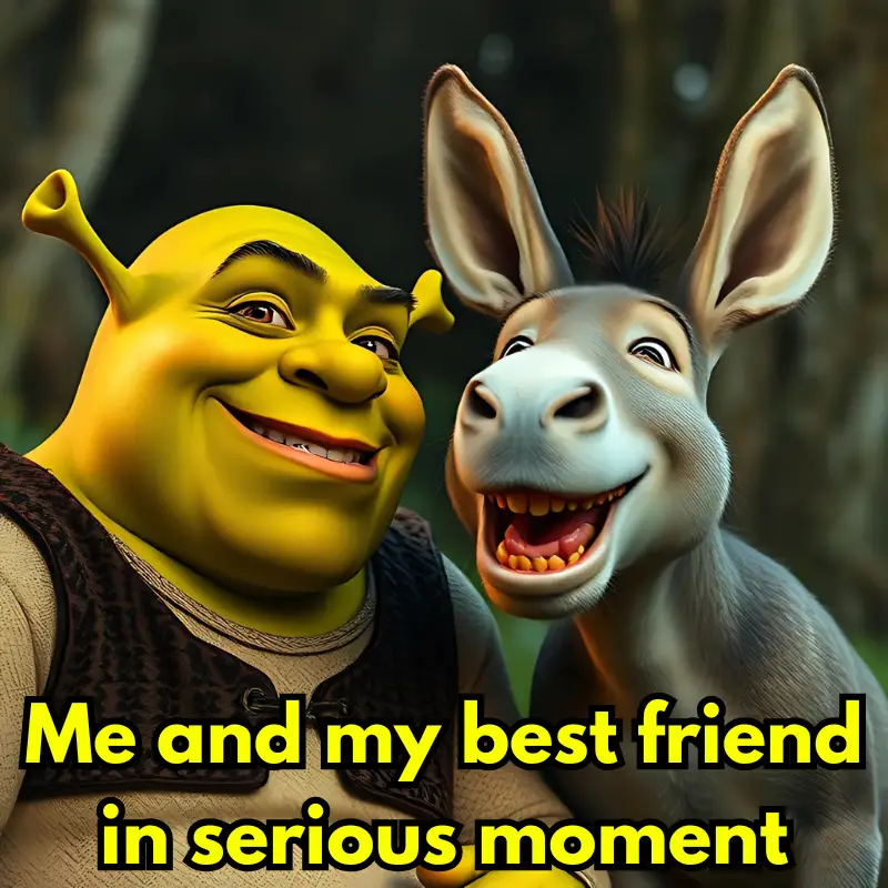 Shrek Funny Meme No.30 
