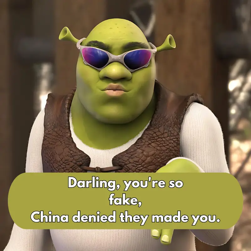 Shrek funny meme