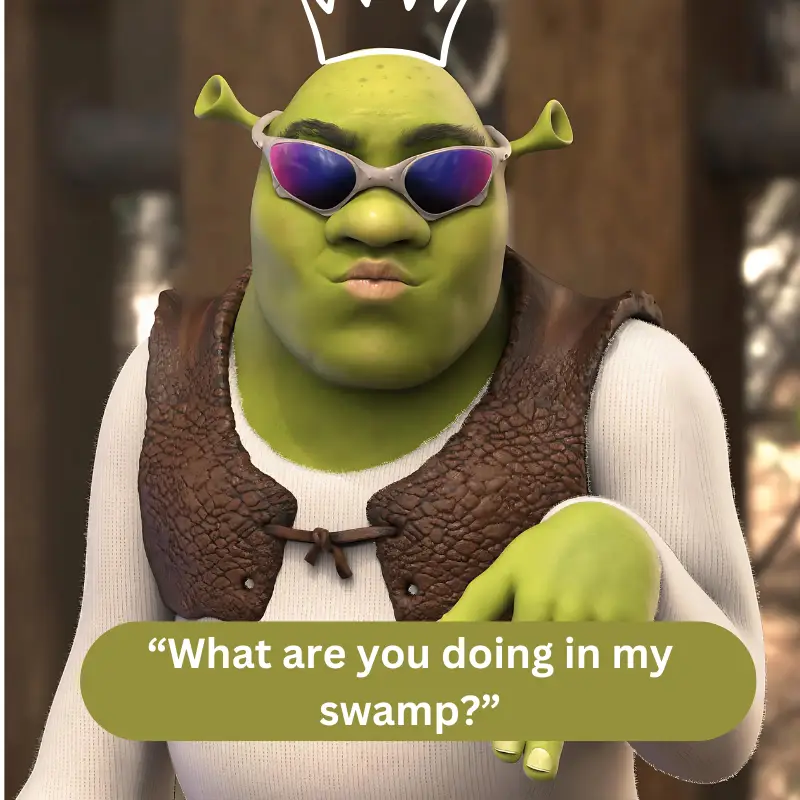 “What are you doing in my swamp”