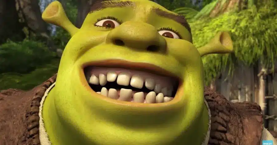 funny shrek face