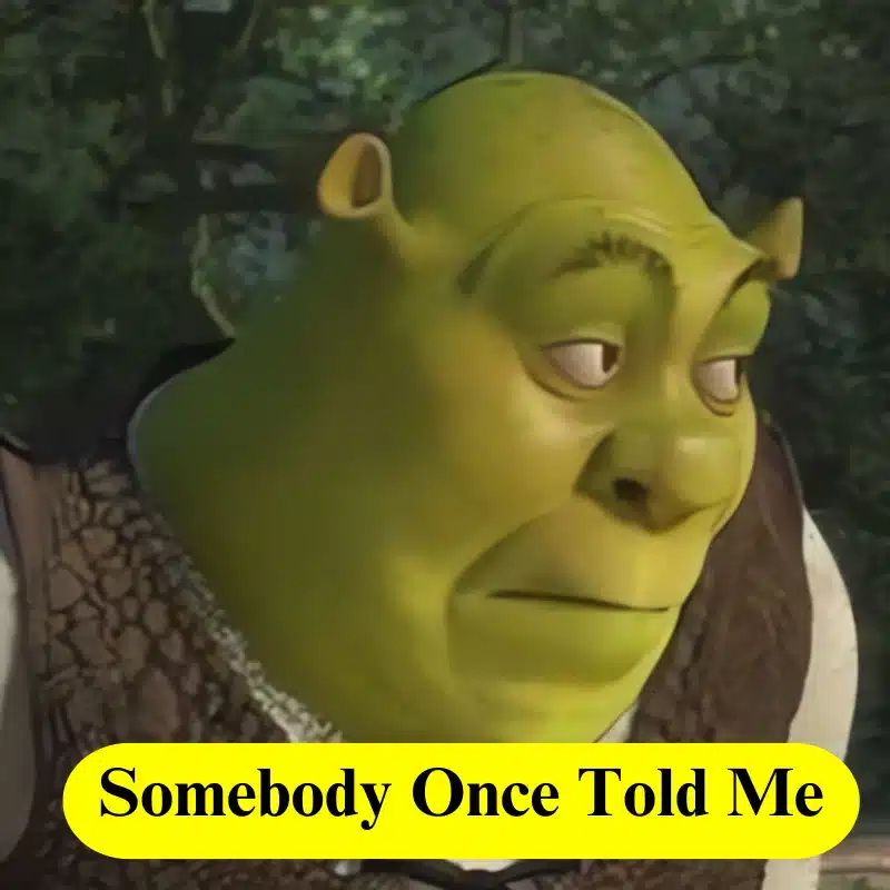 1. Somebody Once Told Me