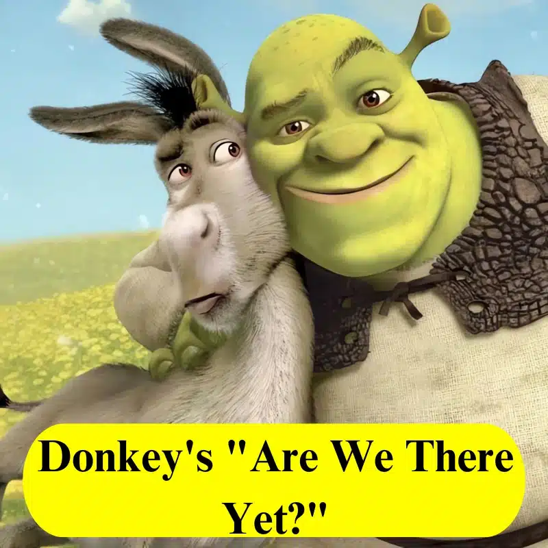 6. Donkey's Are We There Yet